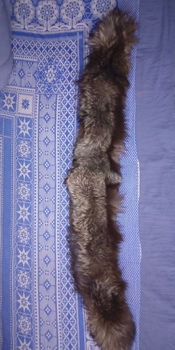 Шикарный воротник из Чернобурки.