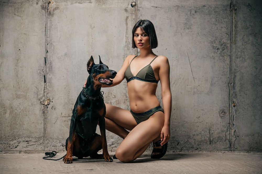 Доберман для фотосессии