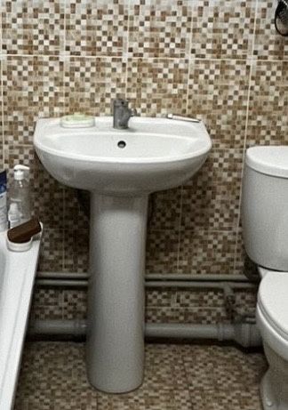 Продажа раковины тюльпан