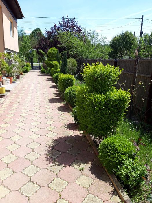 Vand casa Ciuperceni Gorj