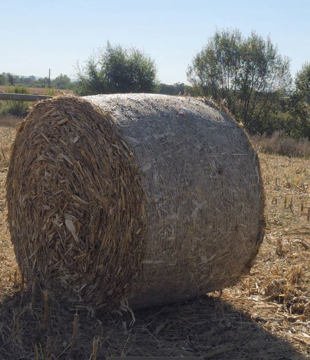 Baloti lucerna ,coceni,fan si paie  150x120