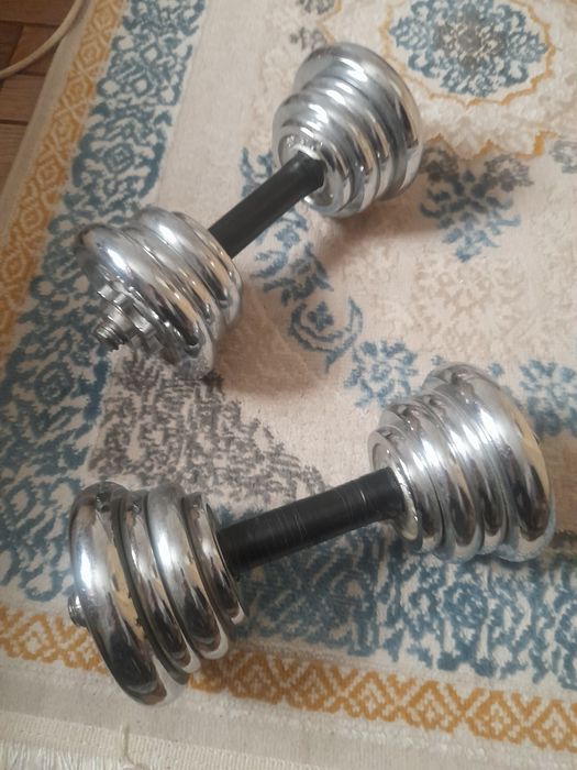 Продам гантели 12+12
