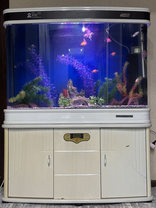 Xitoy Akvariyum 300litr