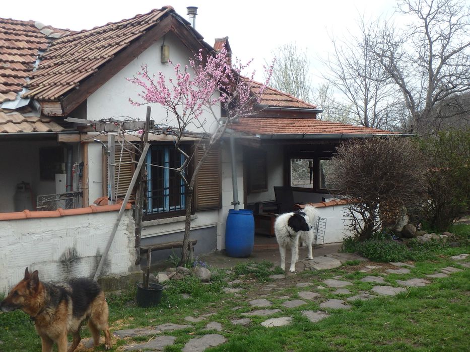 Продава се Къща в с. Брягово, Област Пловдив - 120 кв.м за 319 €/кв.м - Снимка #4