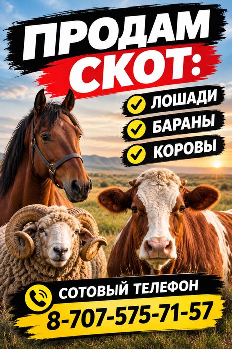 Продам КРС, 2-3 годовалые