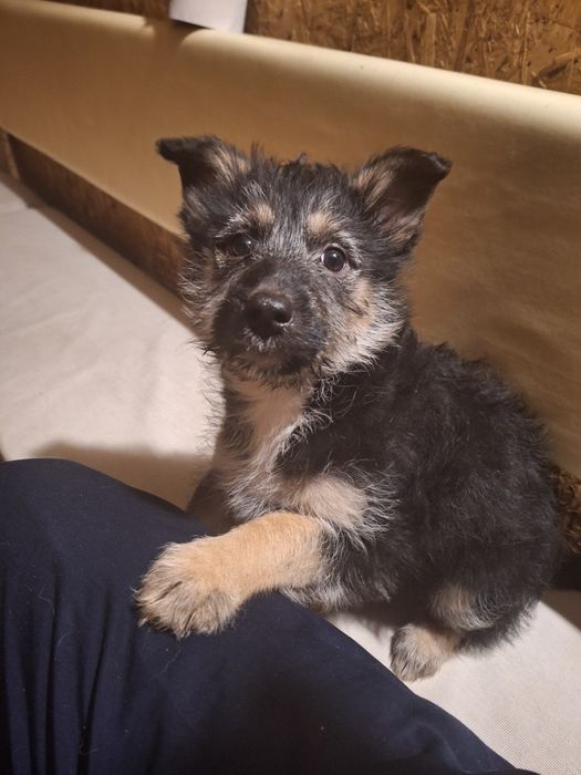 Очаровательные малыши звоночки