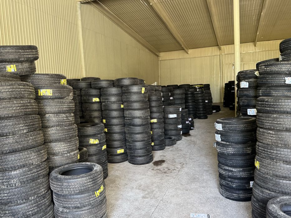 Avto shina Zitto Ravon