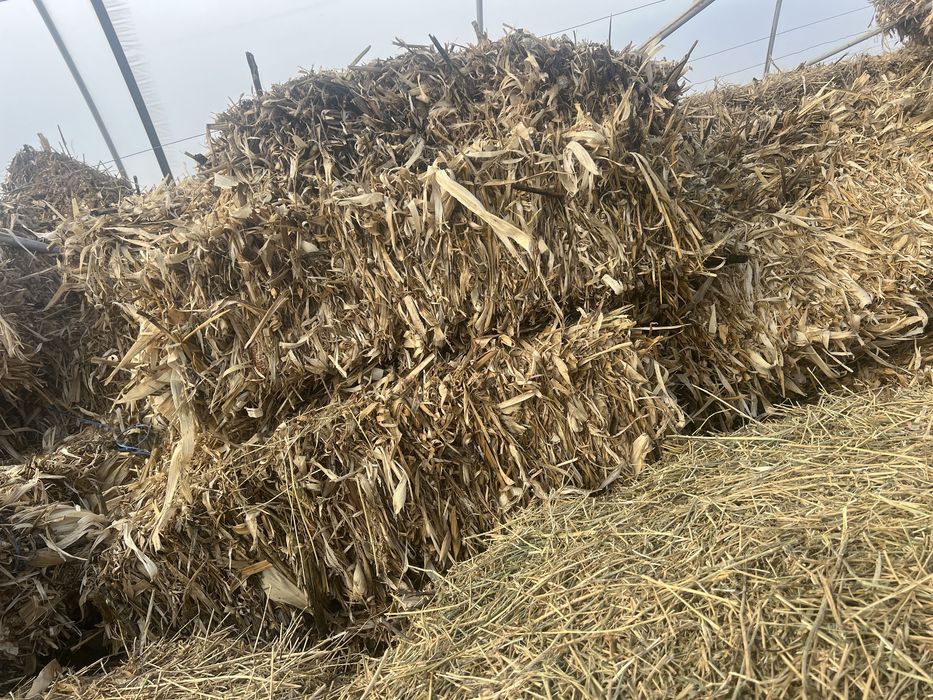 Baloti lucernă si de coceni(asigur transport contra cost motorina)