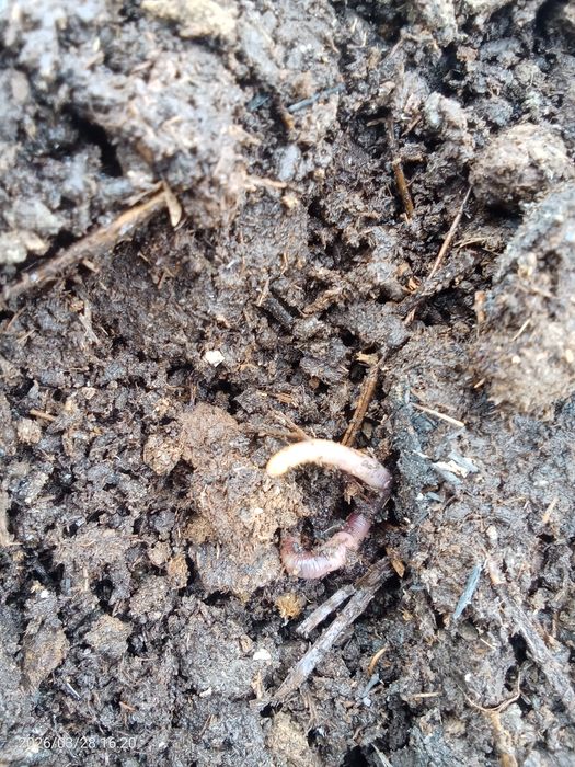 Навоз сатылады 700тг