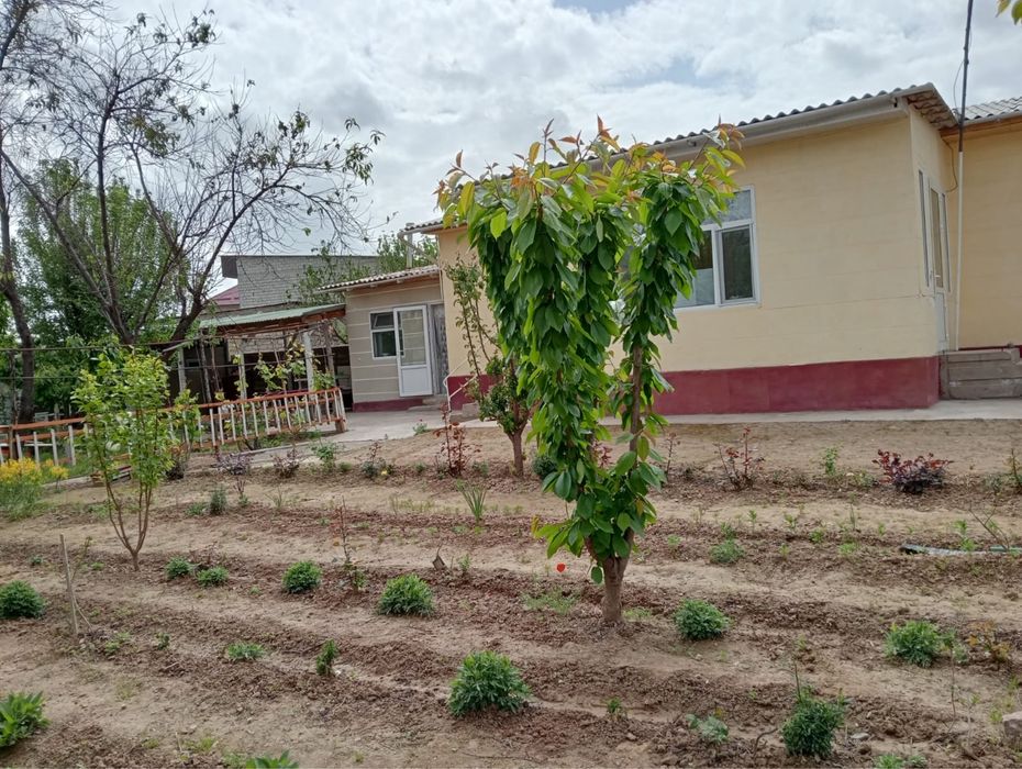 Сарыағаш қаласында үй сатылады