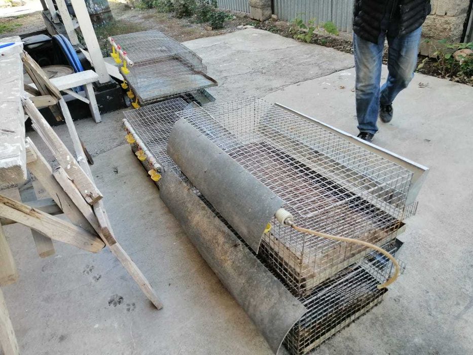 Клетка для перепелов