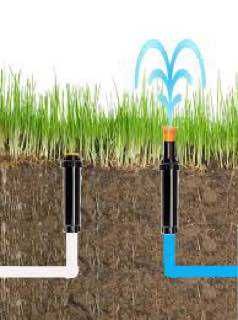 Мексиканка HUNTER PSUltra