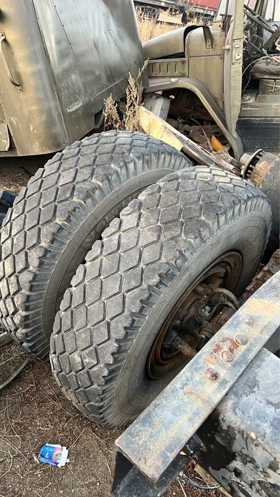 Баллоны 12.00, камеры 12, флиппер