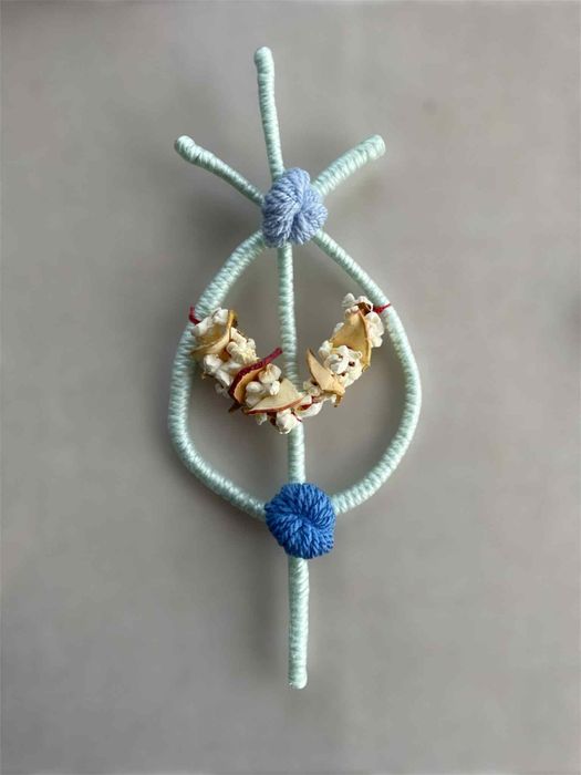 Сурвачки/сурвакници