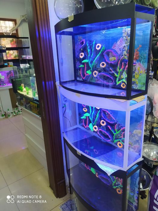 Akvarium yengi 20 litr