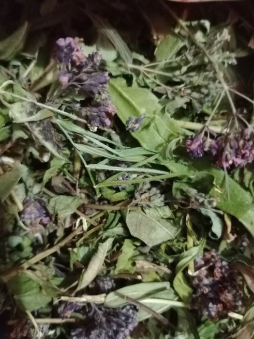 Иван чай и сумах