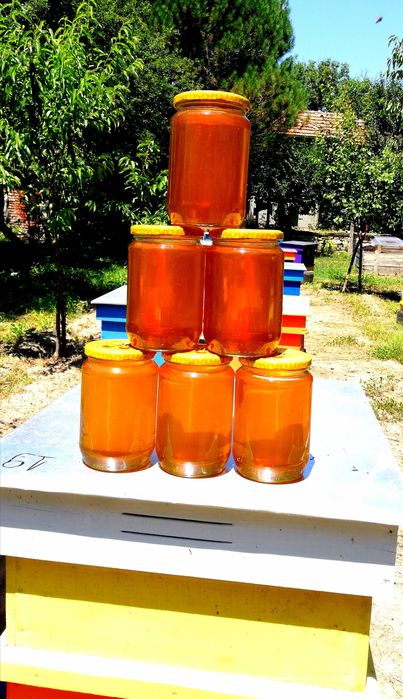 Пчелен мед реколта 2025г