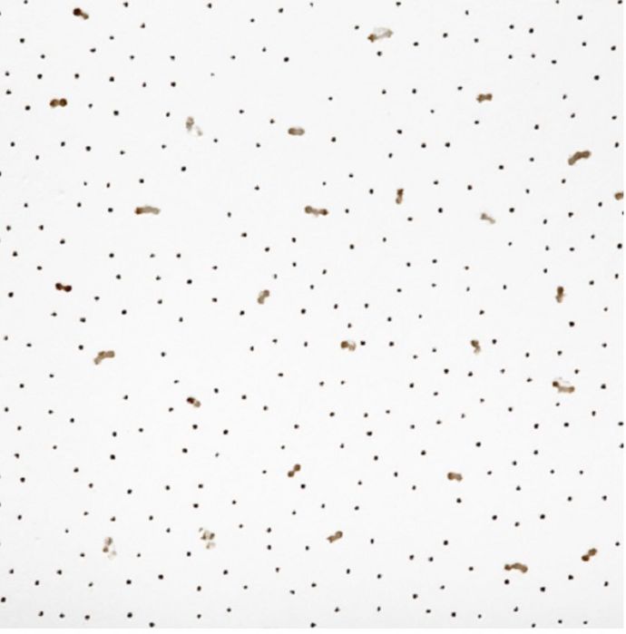 Подвесные Потолки Армстронг и грильято