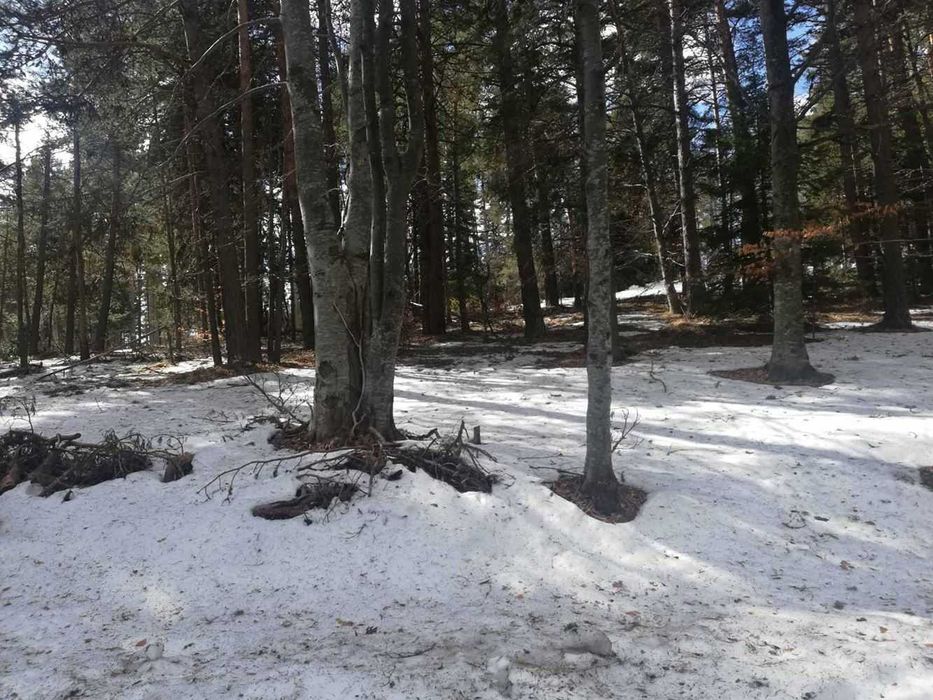 Парцел хижа Здравец до хижа Металик 100метра лице