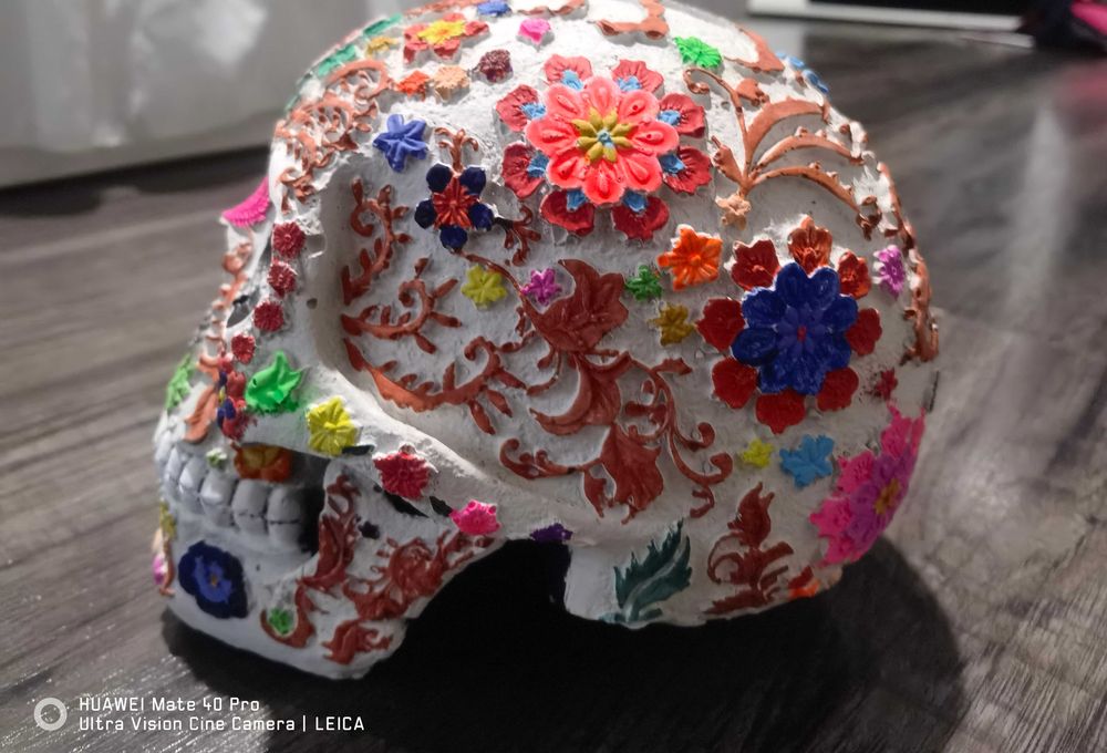 Гипсов череп - декоративен