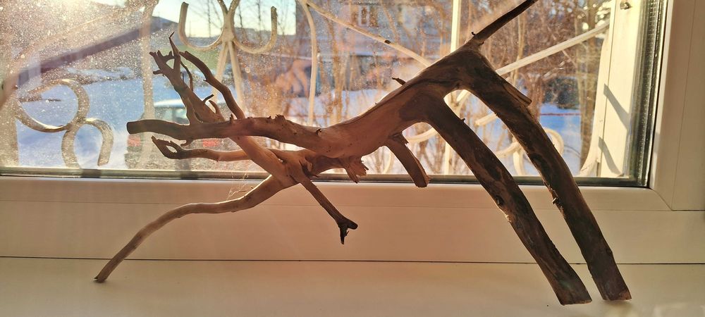 Коряга в аквариум