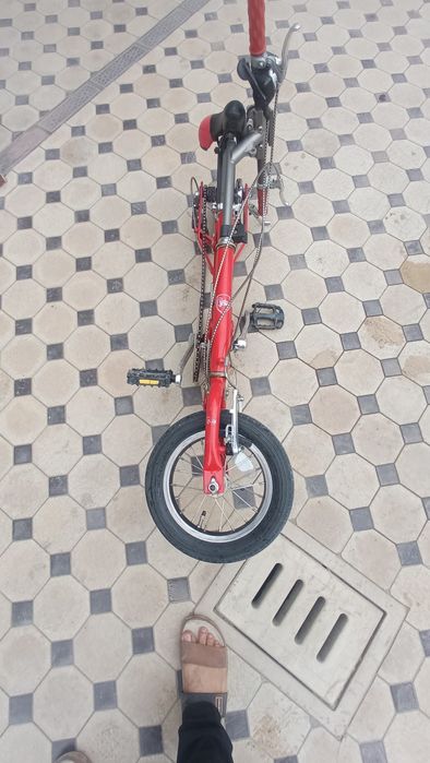 Velik sotiladi yaponskiy