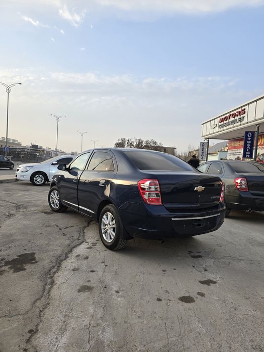 Кобальт ат сотилади 2024-25