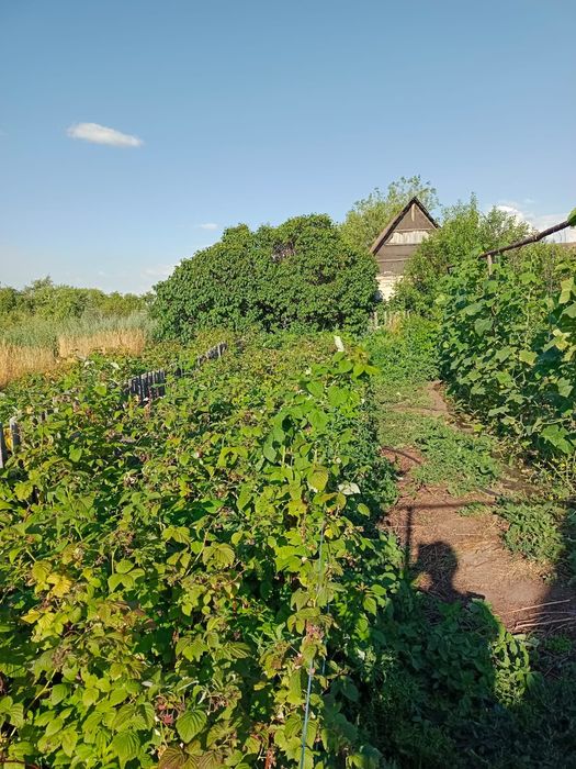 Срочно продам дачу в Ягодке