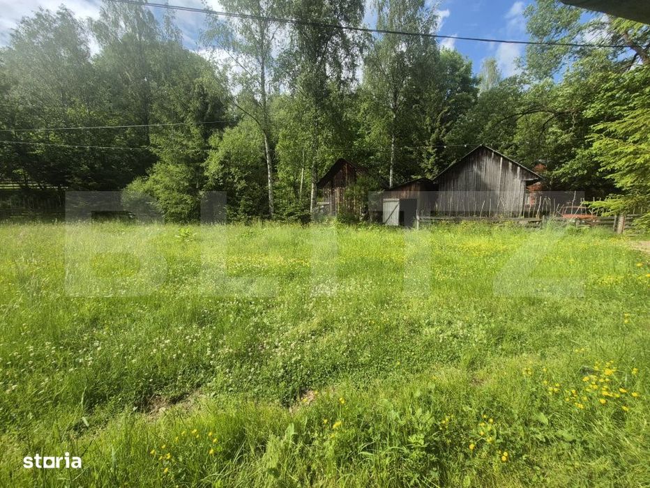 Cabana cu parau si brazi maturi, 1400mp, Valea Fericirii
