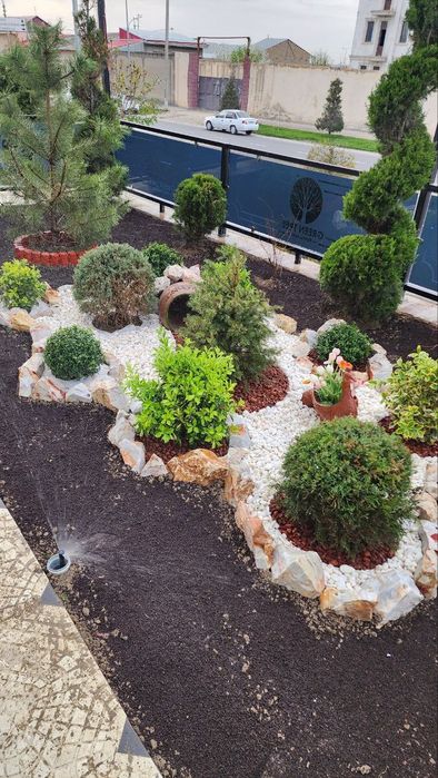 Gazon ekib berish ishlari lanshaftni dizayin assosida