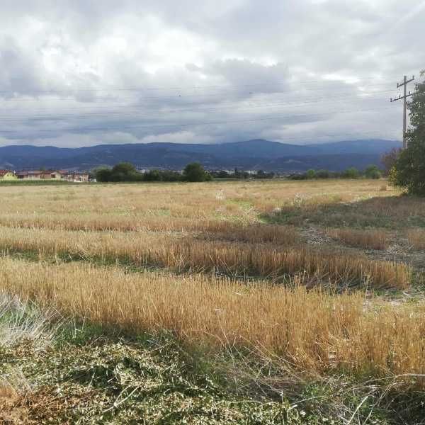 Продава се Парцел в с. Марково, Област Пловдив - 4500 кв.м за 31 €/кв.м - Снимка #1