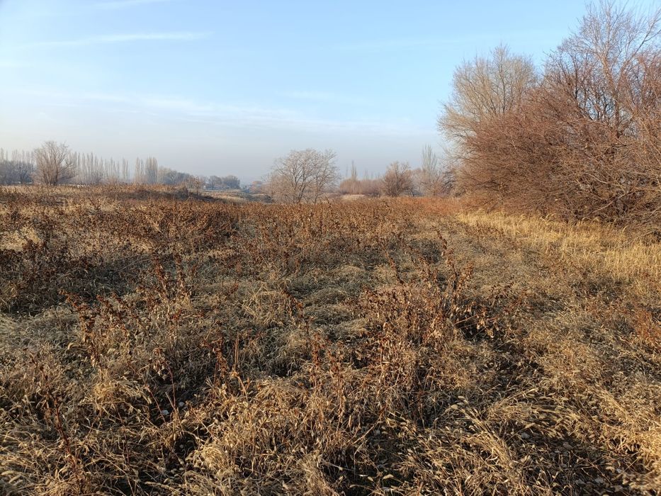 Сдам в аренду участок