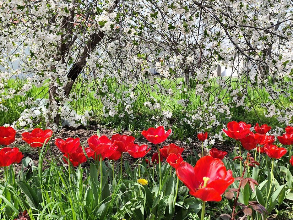 Продаётся дом в Бостанлыкском. р-не, Посёлок Айдаралы