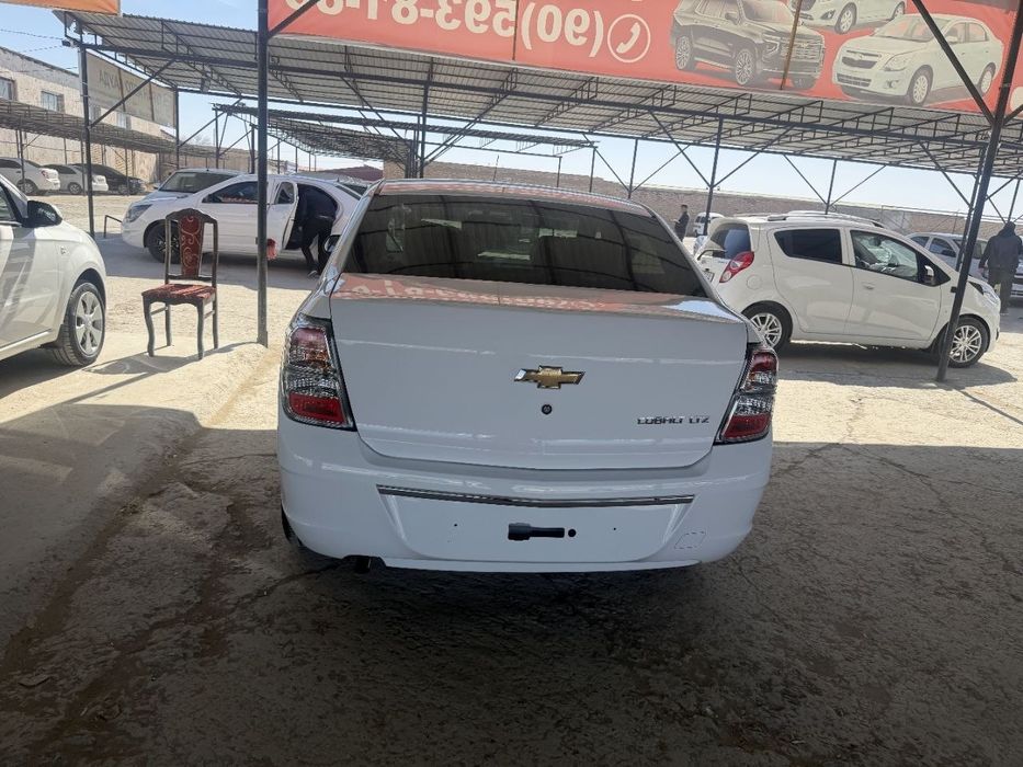 Ковалт Миднайт 2025