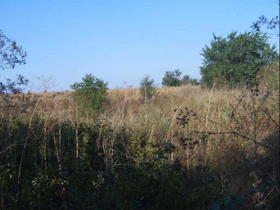 Къща с голям двор в Свобода