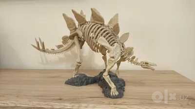 Скелет динозавра - Стегозавр \ Dinozavr skeleti Stegozavr