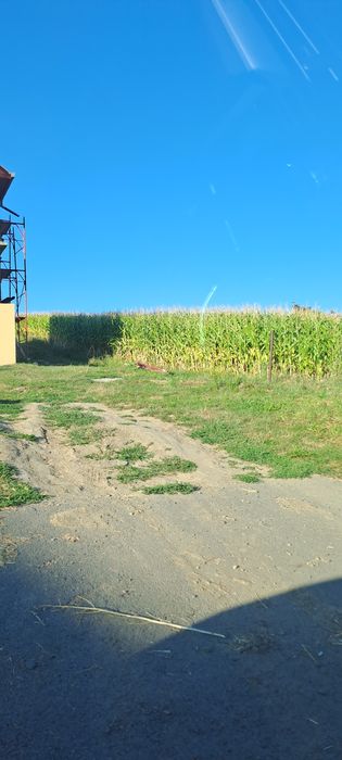 Vând teren intravilan 10000 mp