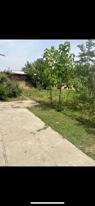 Куктерекда ер участка сотилади