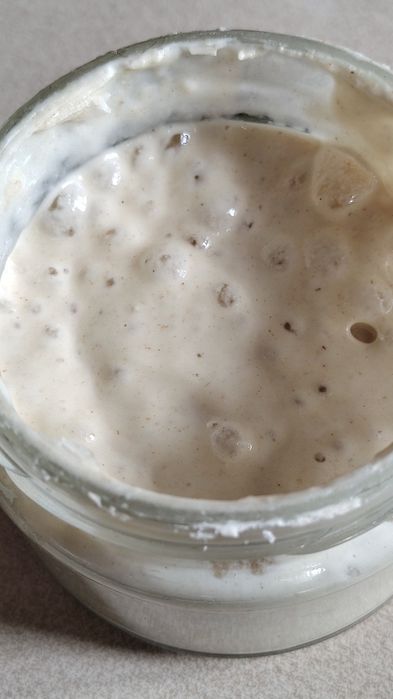 Maia naturală matură – starter activ pentru pâine artizanală
