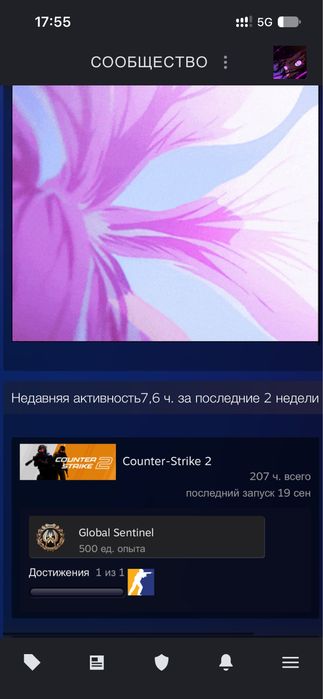 стим акк