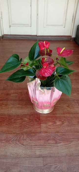 Горшки под цветы