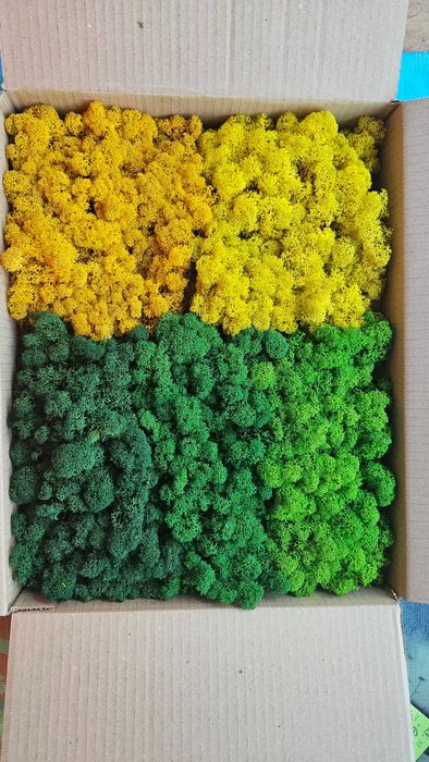 Скандинавски мъх 6 лв. за 100 г.