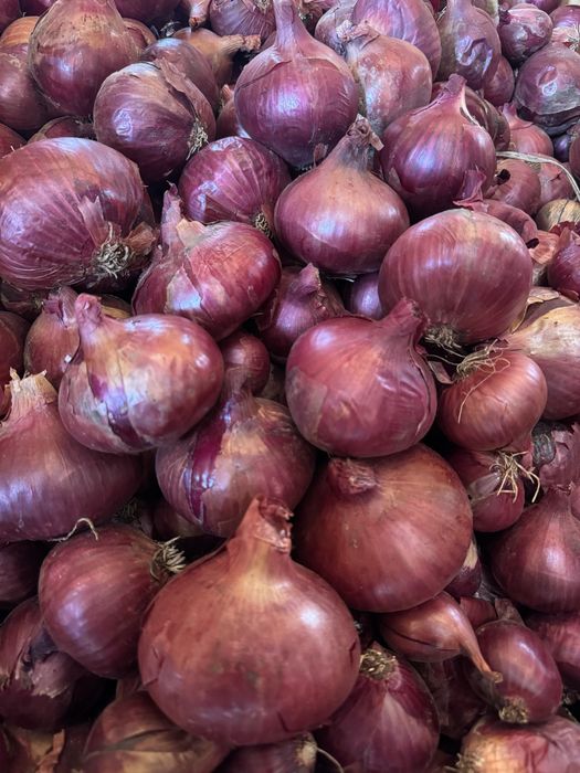 Ceapa rosie de vanzare