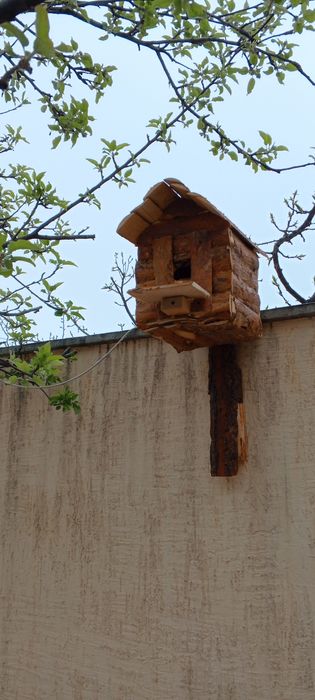 Домик для собаки