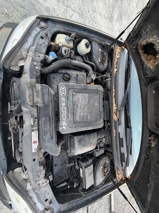 Kia Carnival II 2.9 CRDi 16V J3 144 hp на части