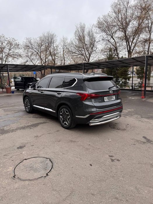 Hyundai Santa Fe Full. Tozza