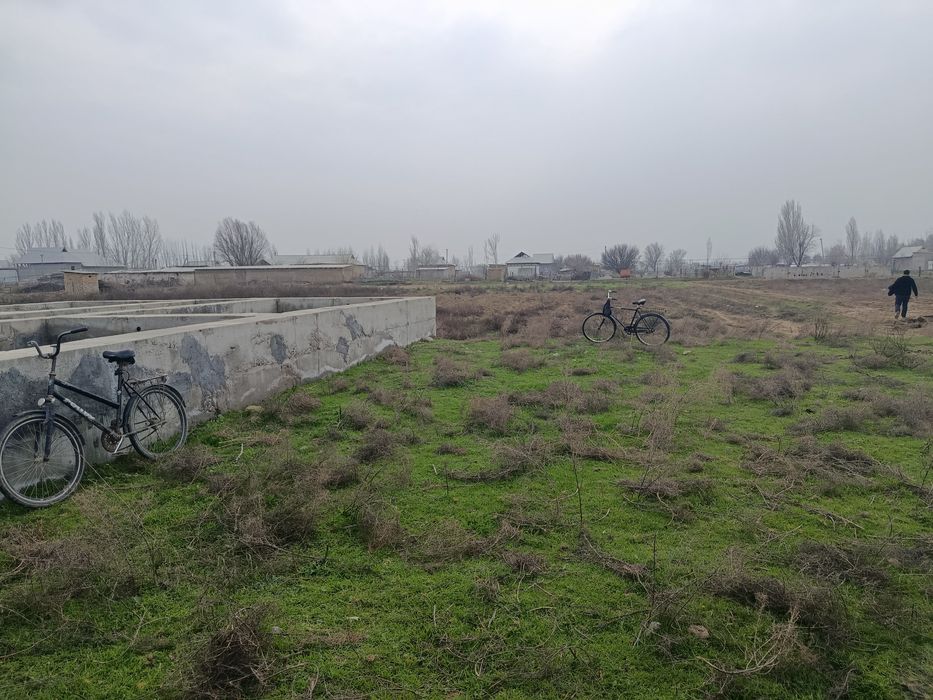 Участка 24 сотих