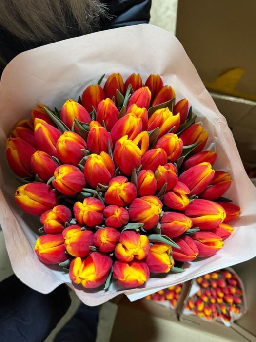 Тюльпаны оптом от 350 тг