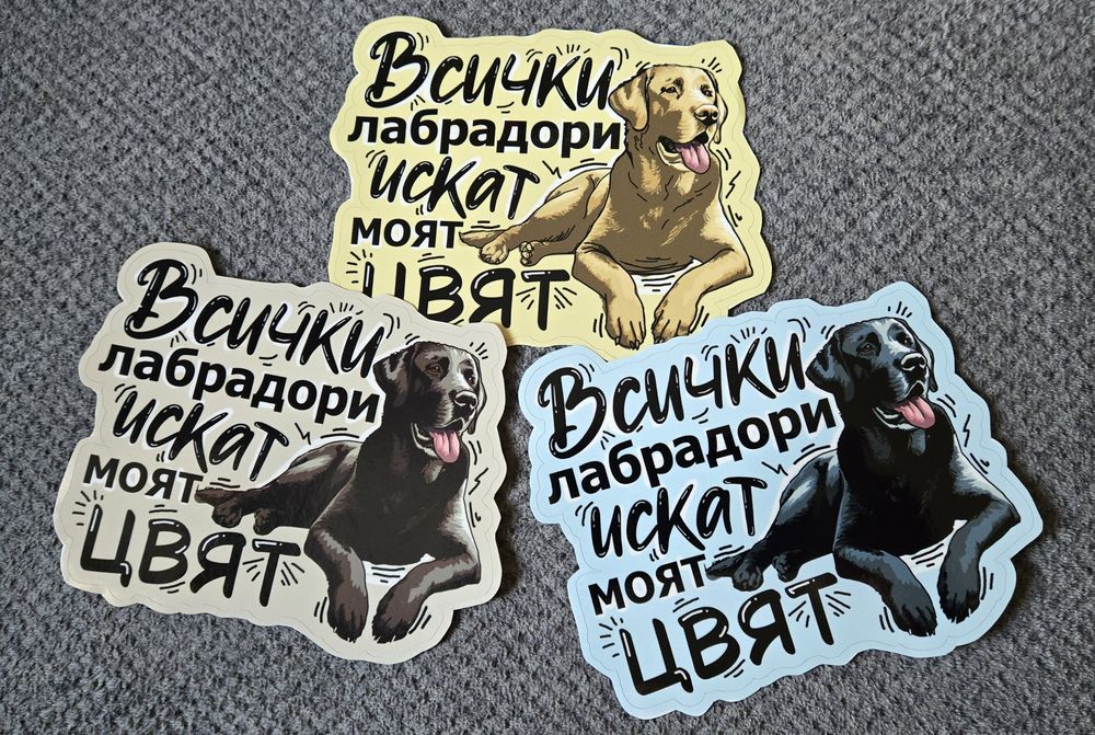 Стикери/автостикери за автомобил/ кола за домашни любимци