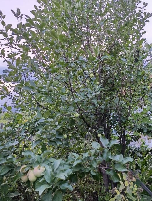 Продаётся дача на федоровке